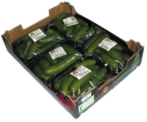 Caja Aguacate Dátil 